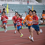 Image 009